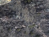 Satılık bazalt ocağı